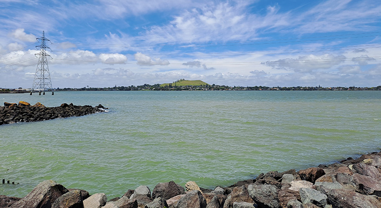 Taumanu Reserve - View across the Manukau Harbour to Mangere Bridge and Ambury Farm in the distance.