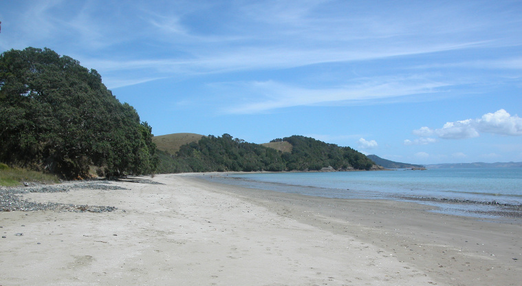 Tawhitokino Regional Park - Looking North from the beach.