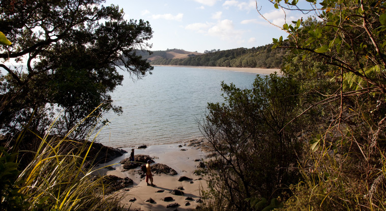 Tawhitokino Regional Park - A glimpse of the beach from the Tuturau Bay bush track.