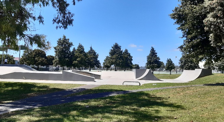 Te Pai Park - Photo of skatepark with large trees in the background. Photo credit: Tracey Hodder.