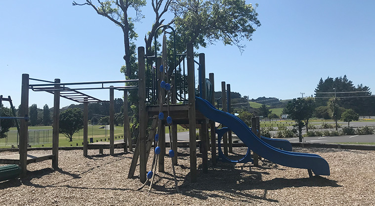Te Puru Park - Playground with climbing ropes, monkey bars, slides, platforms and more.