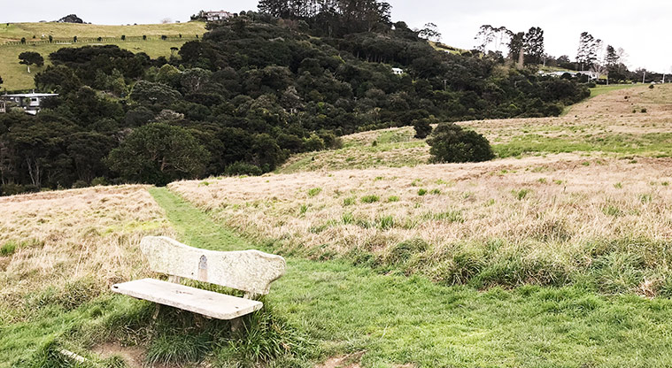 Te Toki Reserve - Large open grassy space with a wooden seat.
