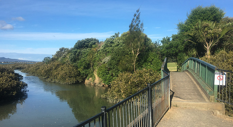 Thomas Bloodworth Park - Bridge entry into the park.