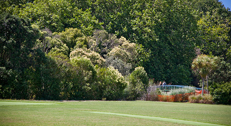 Thomas Bloodworth Park - Open space with trees and a bridge in the background. Photo credit: Luke Harvey.