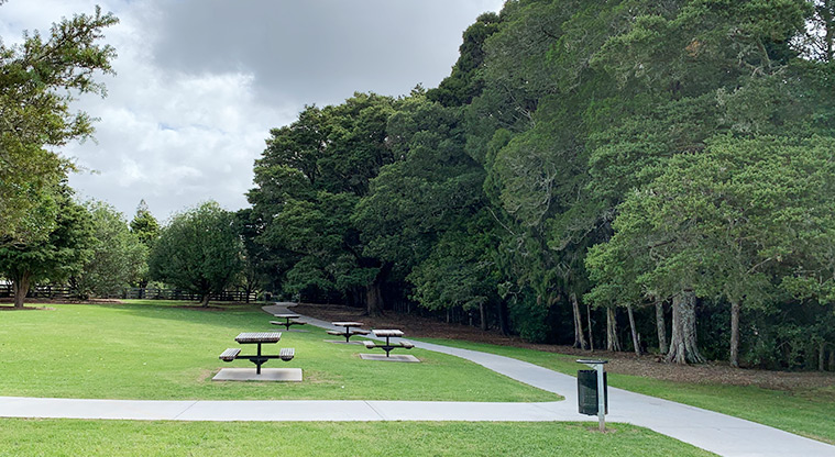 Tōtara Park - Large open green space with paths and picnic tables, and large established trees.