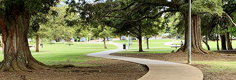 Tōtara Park