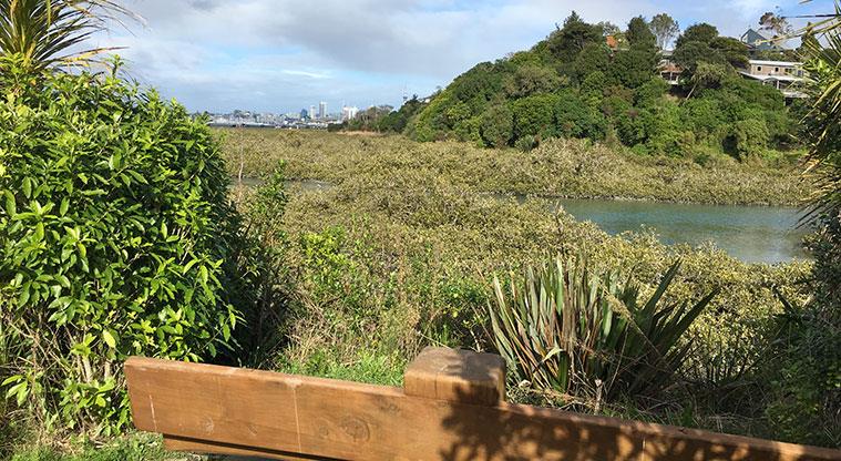 Te Ara o Matakamokamo / Tuff Crater Reserve - Seating overlooking the crater.