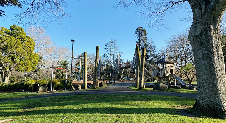 Tūī Glen Reserve - Open space with the large playground in the background.