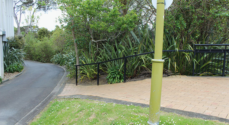 Tūī Glen Reserve - Access up the path from a section of road within the reserve.