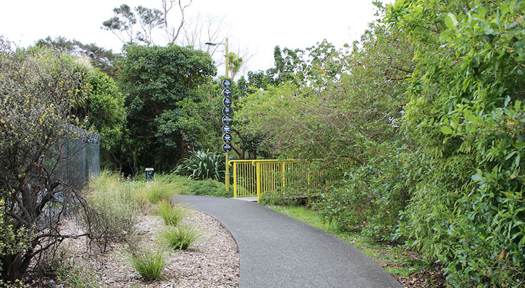 Tūī Glen Reserve - Section of a path and entrance to the bridge leading from Cranwell Park to Tūī Glen Reserve.