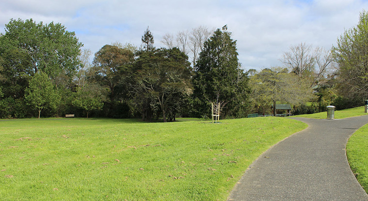 Tūī Glen Reserve - Section of path through the reserve with open grassed space and trees.