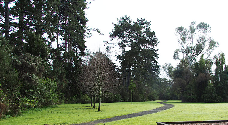 Waimoko / Urlich Esplanade Reserve - Section of path and trees in the reserve. Photo credit: T Hodder.