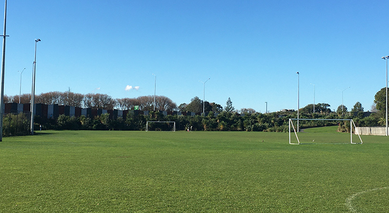 Valonia Reserve - Sports field with soccer nets and flood lights. Photo credit: S Hulse.