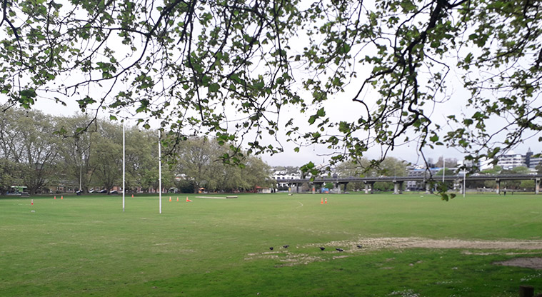 Victoria Park - Sports field with the motorway in the background.