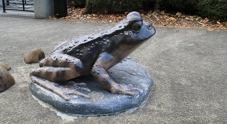 Victoria Park - Large concrete frog. Photo credit: M Loubser.