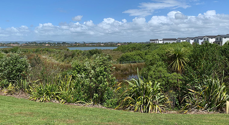 Waimāhia-ki-uta / Waimahia Park - View out over the estuary and mangroves.