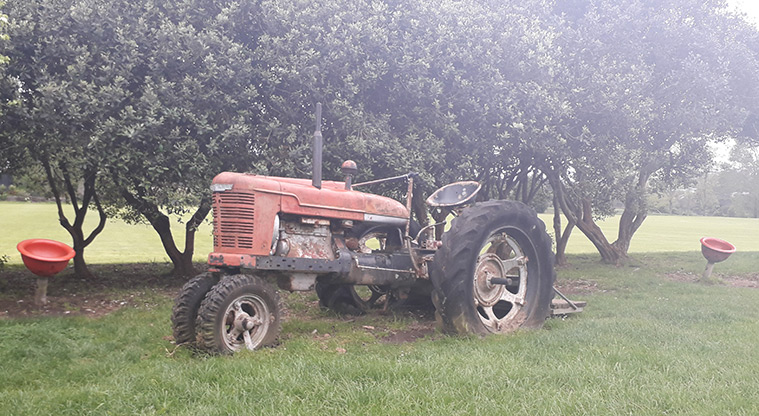 Wainoni Park North – Old red tractor with spinning eggcup toys and trees in the background.