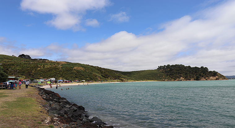 Waitawa Regional Park - Beach at Mataitai bay and Mataitai Point in the background.