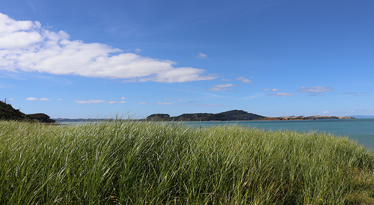 Waitawa Regional Park - View from Waitawa Bay (Sea Kayak Campground).
