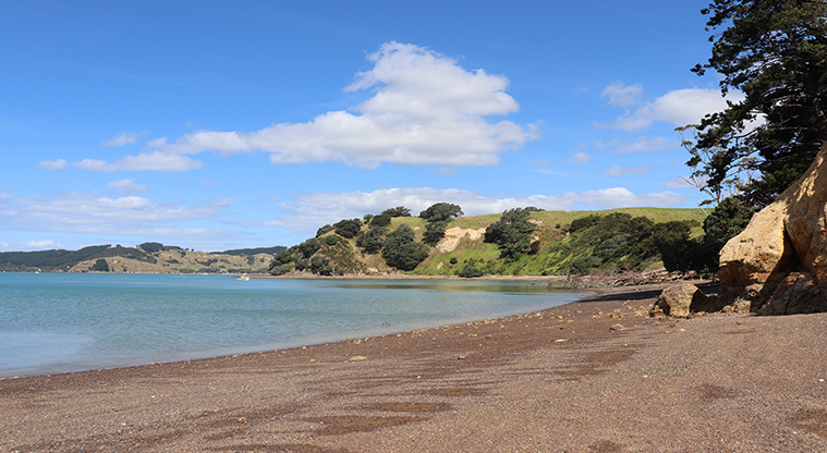 Waitawa Regional Park - Beach below Waitawa Bach.