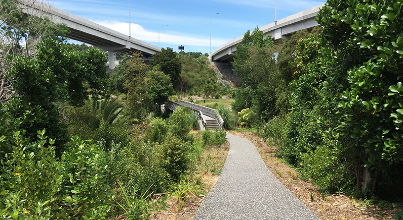 Waterview Reserve – Path leading to the heritage area with steps and the bridge over Te Auaunga (Oakley Creek).