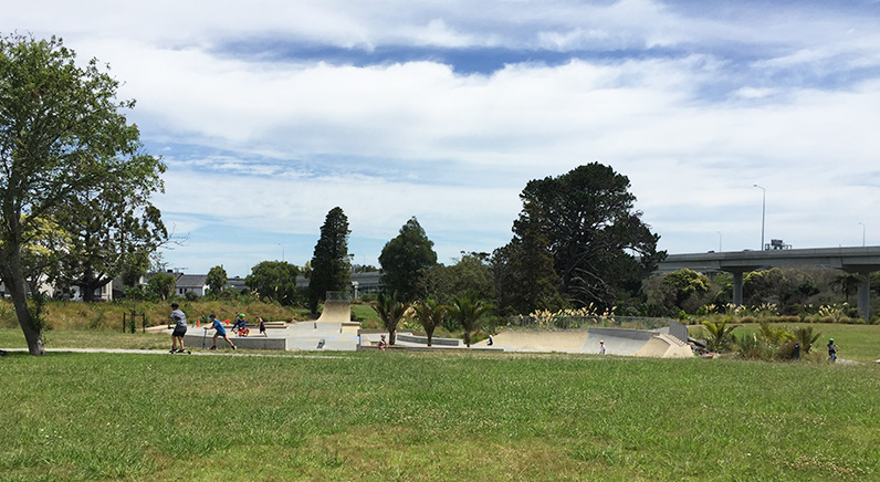 Waterview Reserve – Green open space with the skateboard and scooter track and large shade trees in the background.