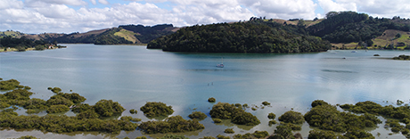 Wenderholm Regional Park