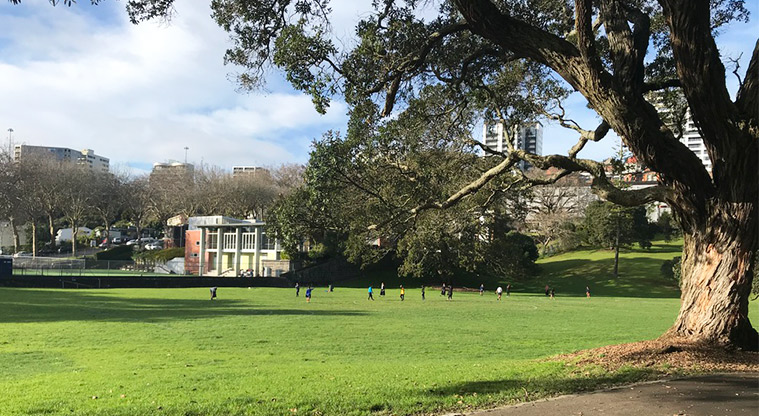 Western Park - Playing field with Beresford Street in the background.