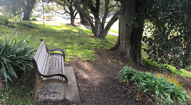 Western Park - Seat under a tree.