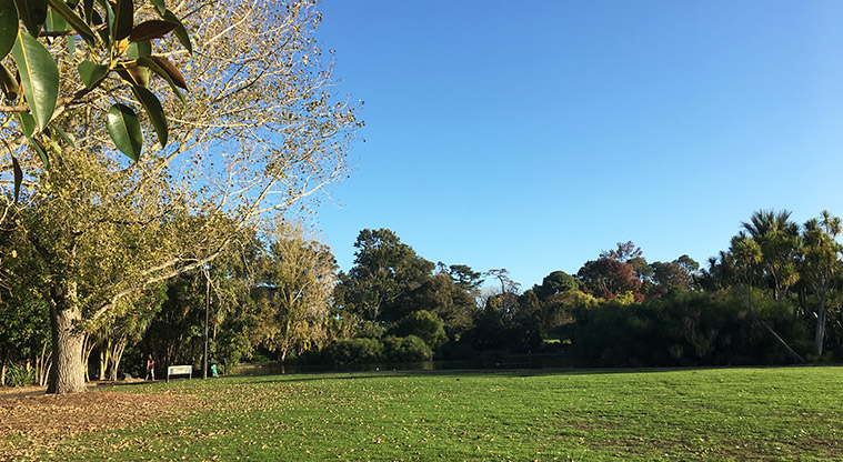 Western Springs Lakeside - Open space surrounded by established trees.