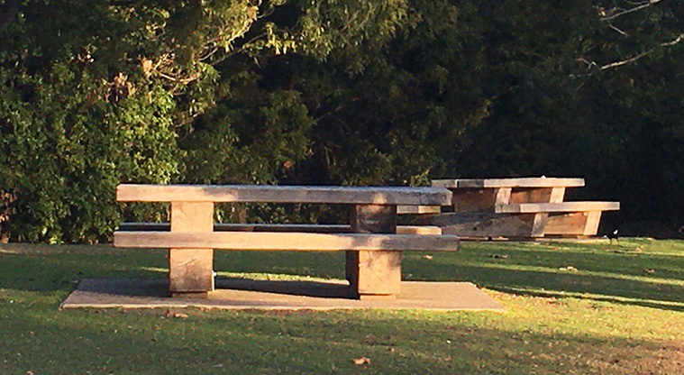 Western Springs Lakeside - Wooden picnic tables on the edge of the footpath.