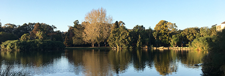 Western Springs Lakeside