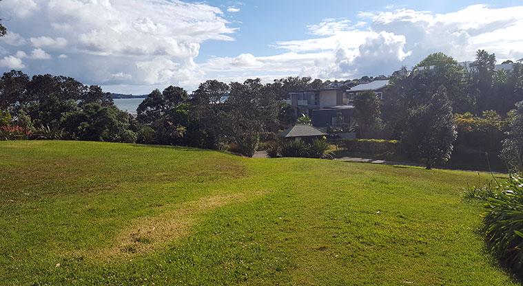Westmere Park - Section of open grassed space with trees and houses in the background.
