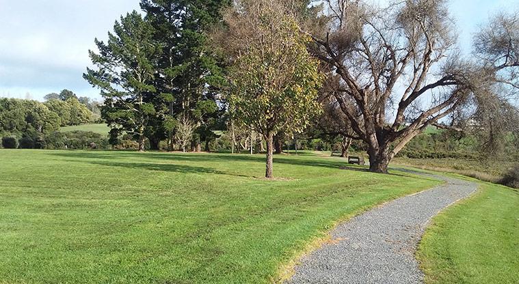 Whitford Village Green - Section of path through the reserve with open green space and trees.
