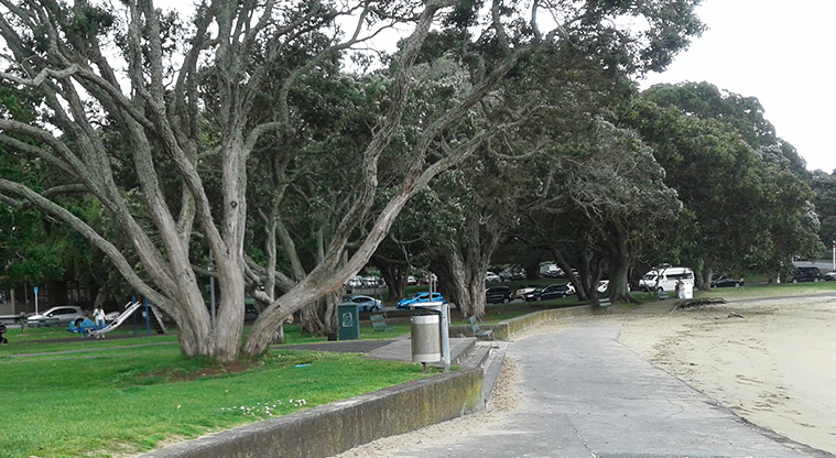 Windsor Reserve - Large trees, the footpath and beach edge.