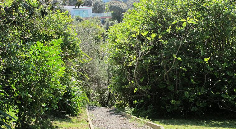 Wonderview Road Esplanade - Section of gravel path through the bush.