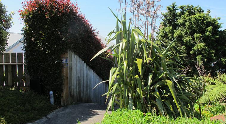 Wonderview Road Esplanade - Kyle Street entrance with flax and bushes on the right of the path.
