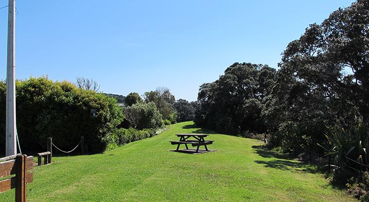Wonderview Road Esplanade - Picnic table in a small grassed clearing.