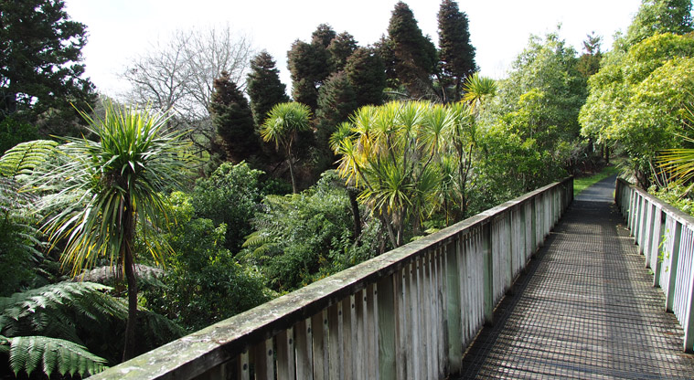 Xena Park - A wooden bridge that crosses over the water through native trees. Photo credit: Tracey Hodder.