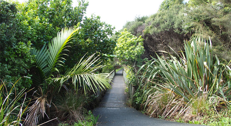 Xena Park - Path leading through the park. Photo credit: Tracey Hodder.