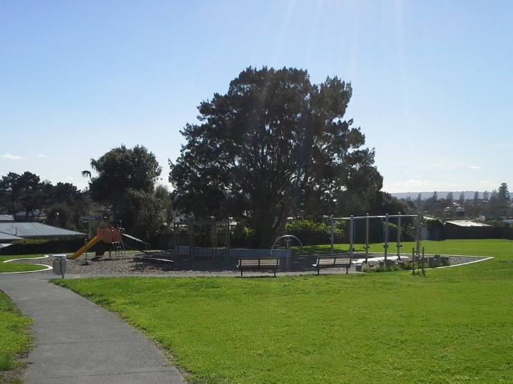 Alan Wood Reserve Path - Brydon Place Reserve playground.