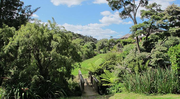 Albany Village Path - Path is now grass until it connects back up to the original concrete path.