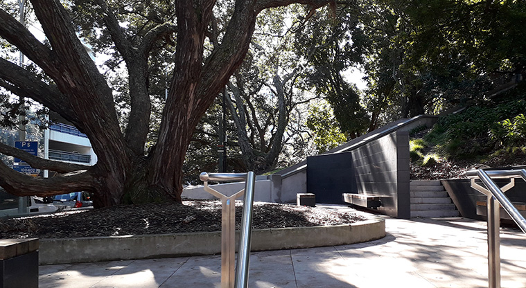 Albert Park Path - Walk through the plaza and up the steps.