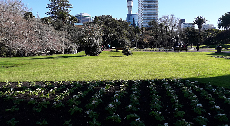 Albert Park Path - Views back to the city.