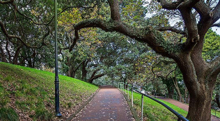 Albert Park Path - Path through the lower section of the park.