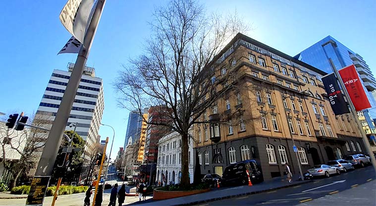 Albert to Myers Urban Ngahere Path – Pine Oak on Wellesley Street East.