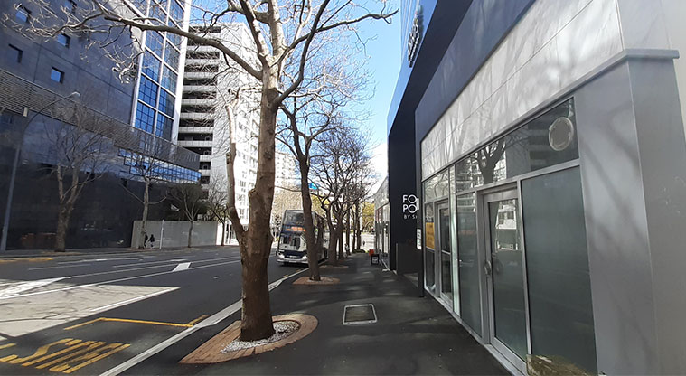 Albert to Myers Urban Ngahere Path – Section of path down Mayoral Drive.