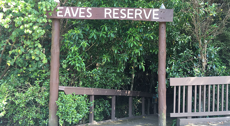 Alice Eaves Bush Path - Old North Road entrance.