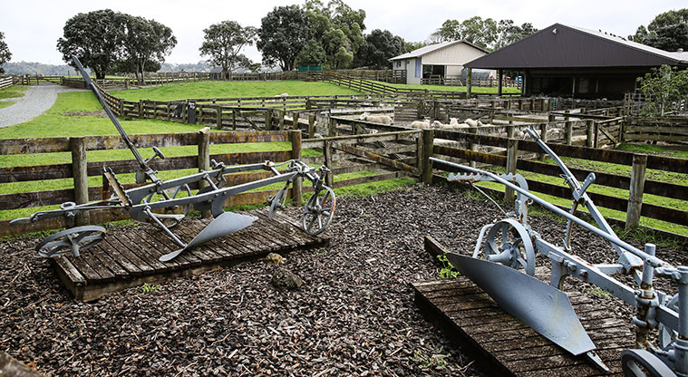 Ambury Farm Path - Old farm machinery.