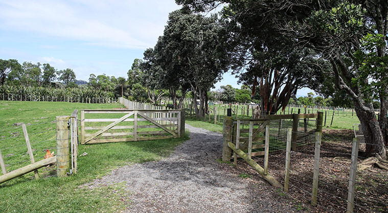Ambury Farm Path - Typical section of the path.